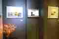 Galleria Web Art